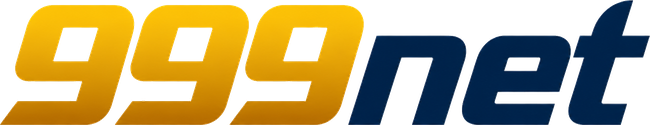 999net Logo
